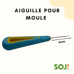 Aiguille pour moule